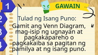 Tulad ng Isang Puno:
GAWAIN
Gamit ang Venn Diagram,
mag-isip ng ugnayan at
pagkakapareho o
pagkakaiba sa pagitan ng
pamilya at ng isang puno.
 