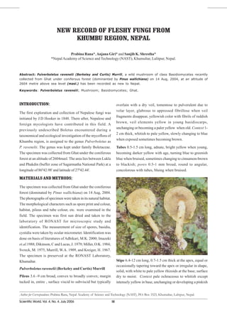 NEW RECORD OF FLESHY FUNGI FROM
                                 KHUMBU REGION, NEPAL

                                   Prabina Rana*, Anjana Giri* and Sanjib K. Shrestha*
                        *Nepal Academy of Science and Technology (NAST), Khumultar, Lalitpur, Nepal.



Abstract: Pulverboletus ravenelii (Berkeley and Curtis) Murrill, a wild mushroom of class Basidiomycetes recently
collected from Ghat under coniferous forest (dominanted by Pinus wallichiana) on 14 Aug, 2004, at an altitude of
2604 metre above sea level (masl.) has been recorded as new to Nepal.

Keywords: Pulverboletus ravenelii; Mushroom; Basidiomycetes; Ghat.



INTRODUCTION:                                                             overlain with a dry veil, tomentose to pulverulent due to
                                                                          velar layer, glabrous to appressed fibrillose when veil
The first exploration and collection of Nepalese fungi was
                                                                          fragments disappear, yellowish color with fibrils of reddish
initiated by J.D Hooker in 1848. There after, Nepalese and
                                                                          brown, veil elements yellow in young basidiocarps,
foreign mycologists have contributed in this field. A
                                                                          unchanging or becoming a paler yellow when old. Context 1-
previously undescribed Boletus encountered during a
                                                                          2 cm thick, whitish to pale yellow, slowly changing to blue
taxonomical and ecological investigation of the mycoflora of
                                                                          when exposed sometimes becoming brown.
Khumbu region, is assigned to the genus Pulverboletus as
P. ravenelii. The genus was kept under family Boletaceae.                 Tubes 0.5-1.5 cm long, adnate, bright yellow when young,
The specimen was collected from Ghat under the coniferous                 becoming darker yellow with age, turning blue to greenish
forest at an altitude of 2604masl. The area lies between Lukla            blue when bruised, sometimes changing to cinnamon-brown
and Phakdin (buffer zone of Sagarmatha National Park) at a                to blackish; pores 0.5-1 mm broad, round to angular,
longitude of 86042.98' and latitude of 27042.44'.                         concolorous with tubes, bluing when bruised.

MATERIALS AND METHODS:

The specimen was collected from Ghat under the coniferous
forest (dominated by Pinus wallichiana) on 14 Aug, 2004.
The photographs of specimen were taken in its natural habitat.
The morphological characters such as spore print and colour,
habitat, pileus and tube colour, etc. were examined in the
field. The specimen was first sun dried and taken to the
laboratory of RONAST for microscopic study and
identification. The measurement of size of spores, basidia,
cystidia were taken by ocular micrometer. Identification was
done on basis of literatures of Adhikari, M.K. 2000; Imazeki
et.al.1988; Dikinson, C and Lucas, J. 1979; Miller, O.K. 1984;
Svreck, M. 1975, Murrill, W.A. 1909, and Kreiger, H. 1967.
The specimen is preserved at the RONAST Laboratory,
Khumaltar.                                                                Stipe 6.4-12 cm long, 0.7-1.5 cm thick at the apex, equal or
                                                                          occasionally tapering toward the apex or irregular in shape,
Pulverboletus ravenelii (Berkeley and Curtis) Murrill
                                                                          solid, with white to pale yellow rhizoids at the base; surface
Pileus 3.6 -9 cm broad, convex to broadly convex; margin                  dry to moist. Context pale ochraceous to whitish except
tucked in, entire , surface viscid to subviscid but typically             intensely yellow in base, unchanging or developing a pinkish


Author for Correspondence: Prabina Rana, Nepal Academy of Science and Technology (NAST), P.O. Box 3323, Khumultar, Lalitpur, Nepal.

Scientific World, Vol. 4, No. 4, July 2006                           50
 
