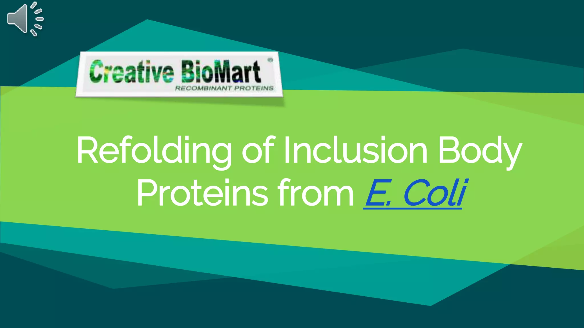 Refolding of inclusion body proteins from e. coli PPT