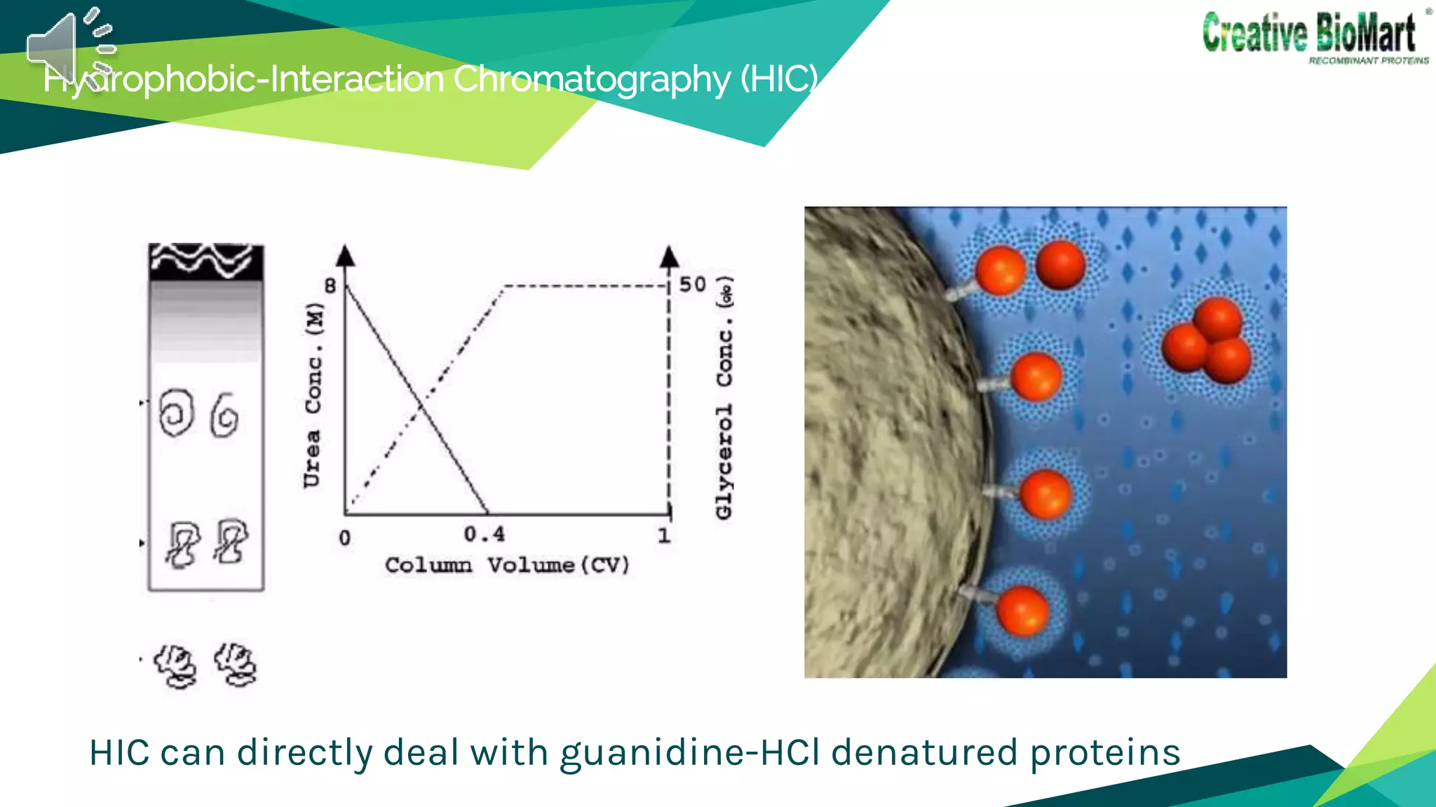 Refolding of inclusion body proteins from e. coli | PPTX