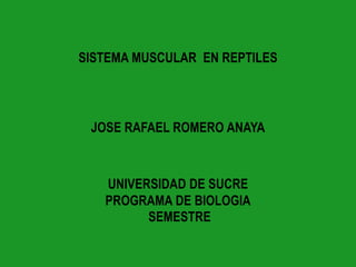 SISTEMA MUSCULAR  EN REPTILES JOSE RAFAEL ROMERO ANAYA UNIVERSIDAD DE SUCREPROGRAMA DE BIOLOGIA SEMESTRE 