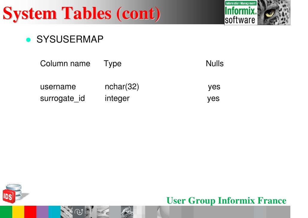Informix serial data type