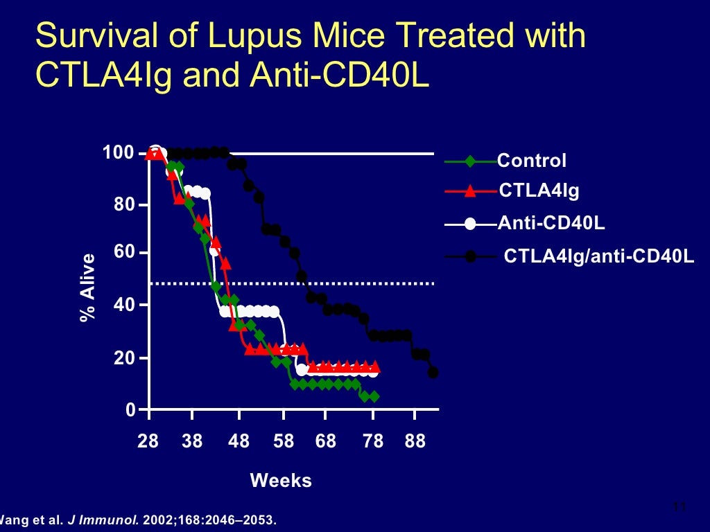 New Treatments for Lupus by Daniel J. Wallace, MD