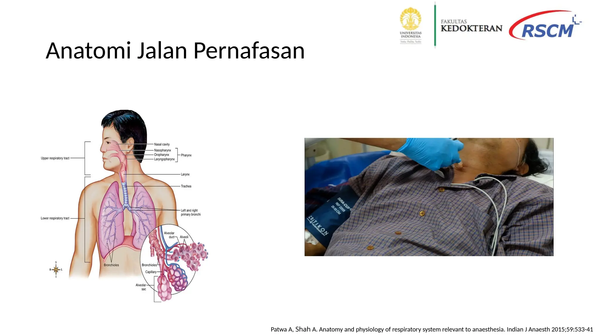 Anatomi Jalan Pernafasan
Patwa A, Shah A. Anatomy and physiology of respiratory system relevant to anaesthesia. Indian J Anaesth 2015;59:533-41