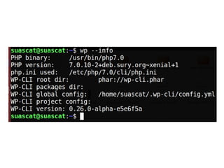 Understand command
wp user list --role=editor
[package] [command] [sub-command] [optional parameters]
Lists all the users whose role is editor.
 