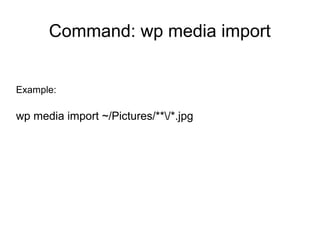 Command : wp media regenerate
 