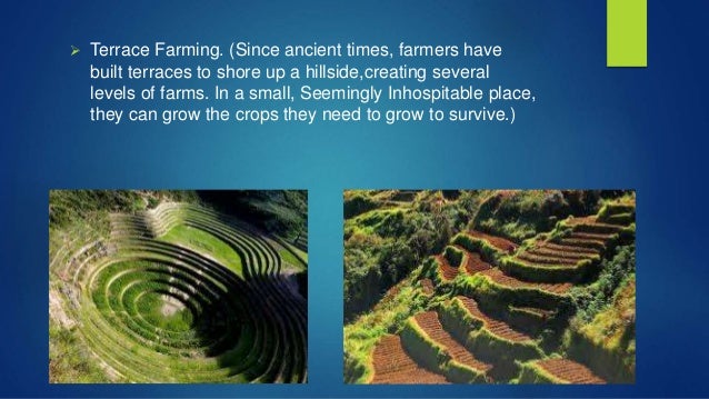 Image result for Step farming maya