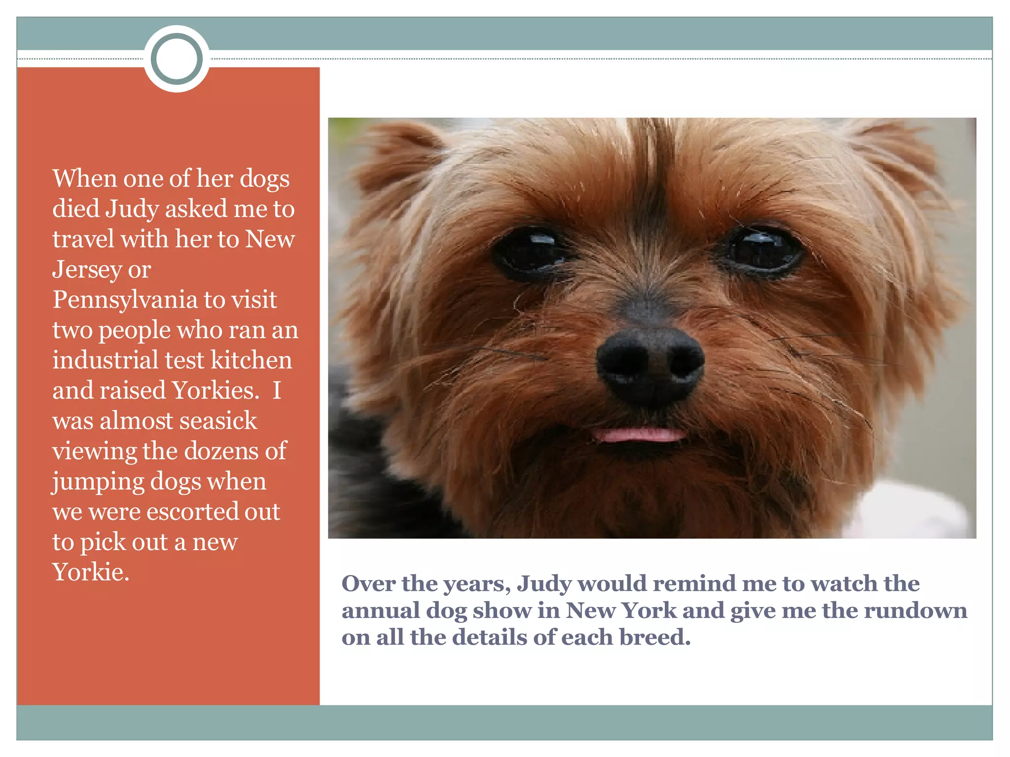 Over the years, Judy would remind me to watch the annual dog show in New York and give me the rundown on all the details of each breed.   When one of her dogs died Judy asked me to travel with her to New Jersey or Pennsylvania to visit two people who ran an industrial test kitchen and raised Yorkies.  I was almost seasick viewing the dozens of jumping dogs when we were escorted out to pick out a new Yorkie.  