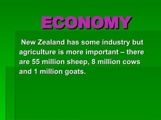 ECONOMY New Zealand has some industry but  agriculture is more important – there  are 55 million sheep, 8 million cows  and 1 million goats. 