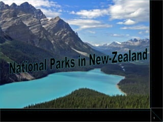 National Parks in New-Zealand 