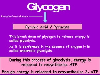 Atp-pc system | PPT