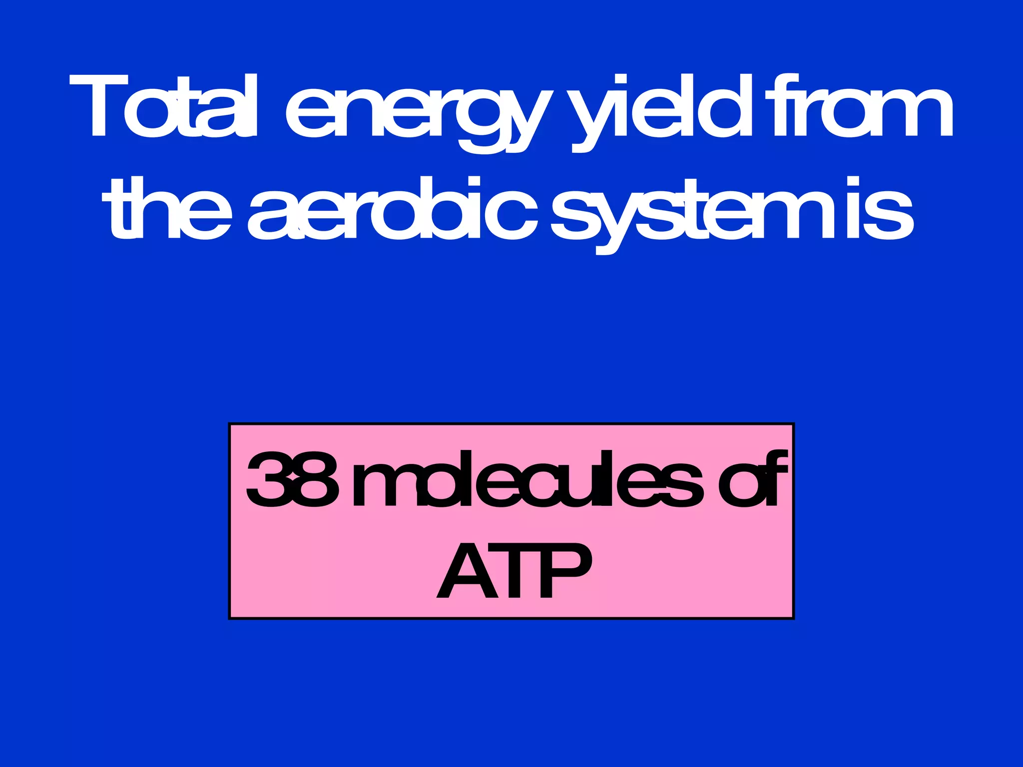 Total energy yield from the aerobic system is 38 molecules of ATP 
