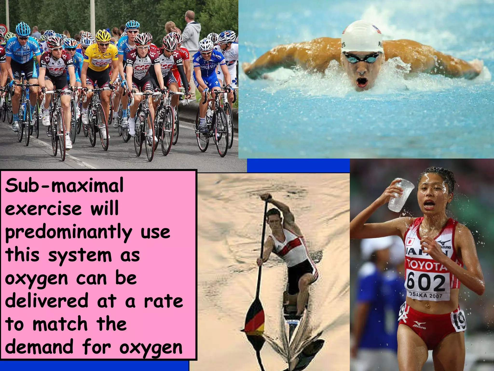 Sub-maximal exercise will predominantly use this system as oxygen can be delivered at a rate to match the demand for oxygen 