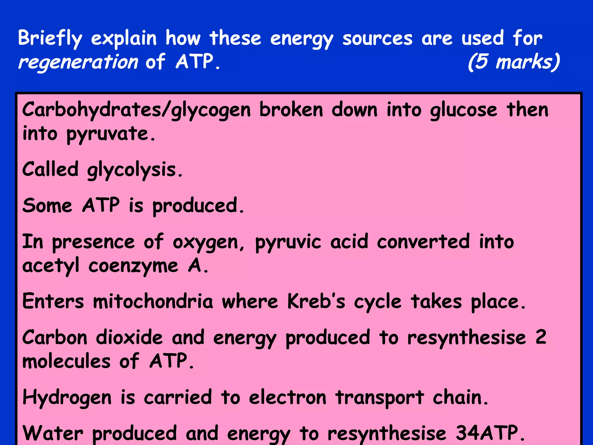 Briefly explain how these energy sources are used for  regeneration  of ATP.   (5 marks) Carbohydrates/glycogen broken down into glucose then into pyruvate. Called glycolysis. Some ATP is produced. In presence of oxygen, pyruvic acid converted into acetyl coenzyme A. Enters mitochondria where Kreb’s cycle takes place. Carbon dioxide and energy produced to resynthesise 2 molecules of ATP. Hydrogen is carried to electron transport chain. Water produced and energy to resynthesise 34ATP. 