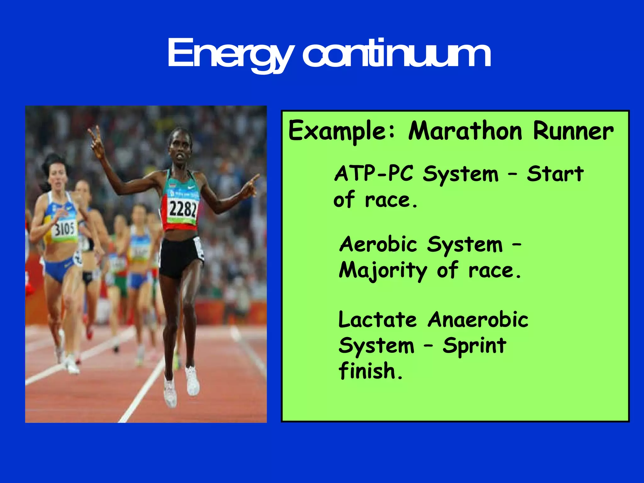 Energy continuum Example: Marathon Runner ATP-PC System – Start of race. Aerobic System – Majority of race. Lactate Anaerobic System – Sprint finish. 