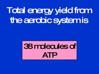 Total energy yield from the aerobic system is 38 molecules of ATP 