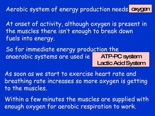 Aerobic system of energy production needs  oxygen At onset of activity, although oxygen is present in the muscles there isn’t enough to break down  fuels into energy. So for immediate energy production the anaerobic systems are used ie ATP-PC system Lactic Acid System As soon as we start to exercise heart rate and breathing rate increases so more oxygen is getting to the muscles. Within a few minutes the muscles are supplied with enough oxygen for aerobic respiration to work. 