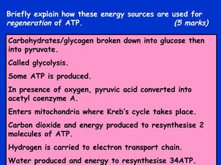 Briefly explain how these energy sources are used for  regeneration  of ATP.   (5 marks) Carbohydrates/glycogen broken down into glucose then into pyruvate. Called glycolysis. Some ATP is produced. In presence of oxygen, pyruvic acid converted into acetyl coenzyme A. Enters mitochondria where Kreb’s cycle takes place. Carbon dioxide and energy produced to resynthesise 2 molecules of ATP. Hydrogen is carried to electron transport chain. Water produced and energy to resynthesise 34ATP. 