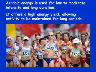 Aerobic energy is used for low to moderate intensity and long duration. It offers a high energy yield, allowing activity to be maintained for long periods. 