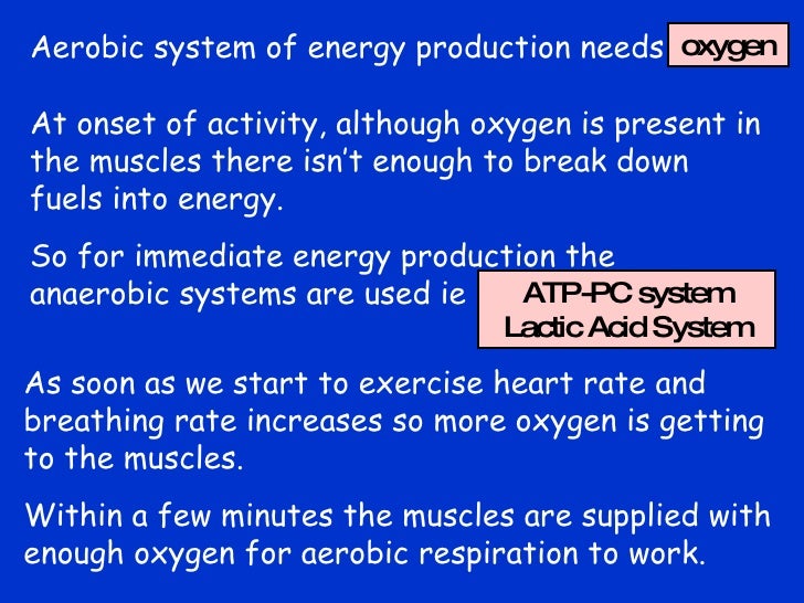 Aerobic System 2025