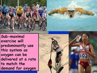 Sub-maximal exercise will predominantly use this system as oxygen can be delivered at a rate to match the demand for oxygen 