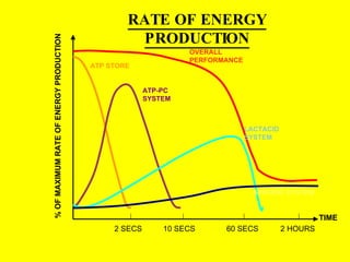 RATE OF ENERGY PRODUCTION % OF MAXIMUM RATE OF ENERGY PRODUCTION TIME 2 SECS 10 SECS 60 SECS 2 HOURS OVERALL PERFORMANCE ATP-PC SYSTEM LACTACID SYSTEM ATP STORE AEROBIC SYSTEM 