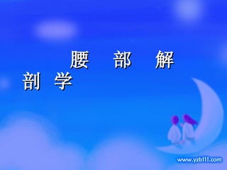 腰  部  解  剖 学 