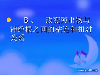B 、  改变突出物与神经根之间的粘连和相对关系 。 