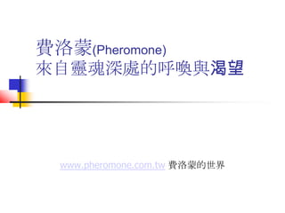 費洛蒙(Pheromone)
來自靈魂深處的呼喚與渴望
www.pheromone.com.tw 費洛蒙的世界
 