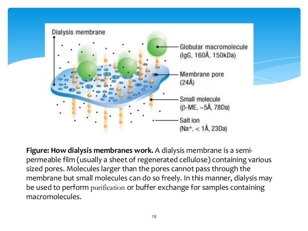 dialysis, ultrafiltration and lyophilization