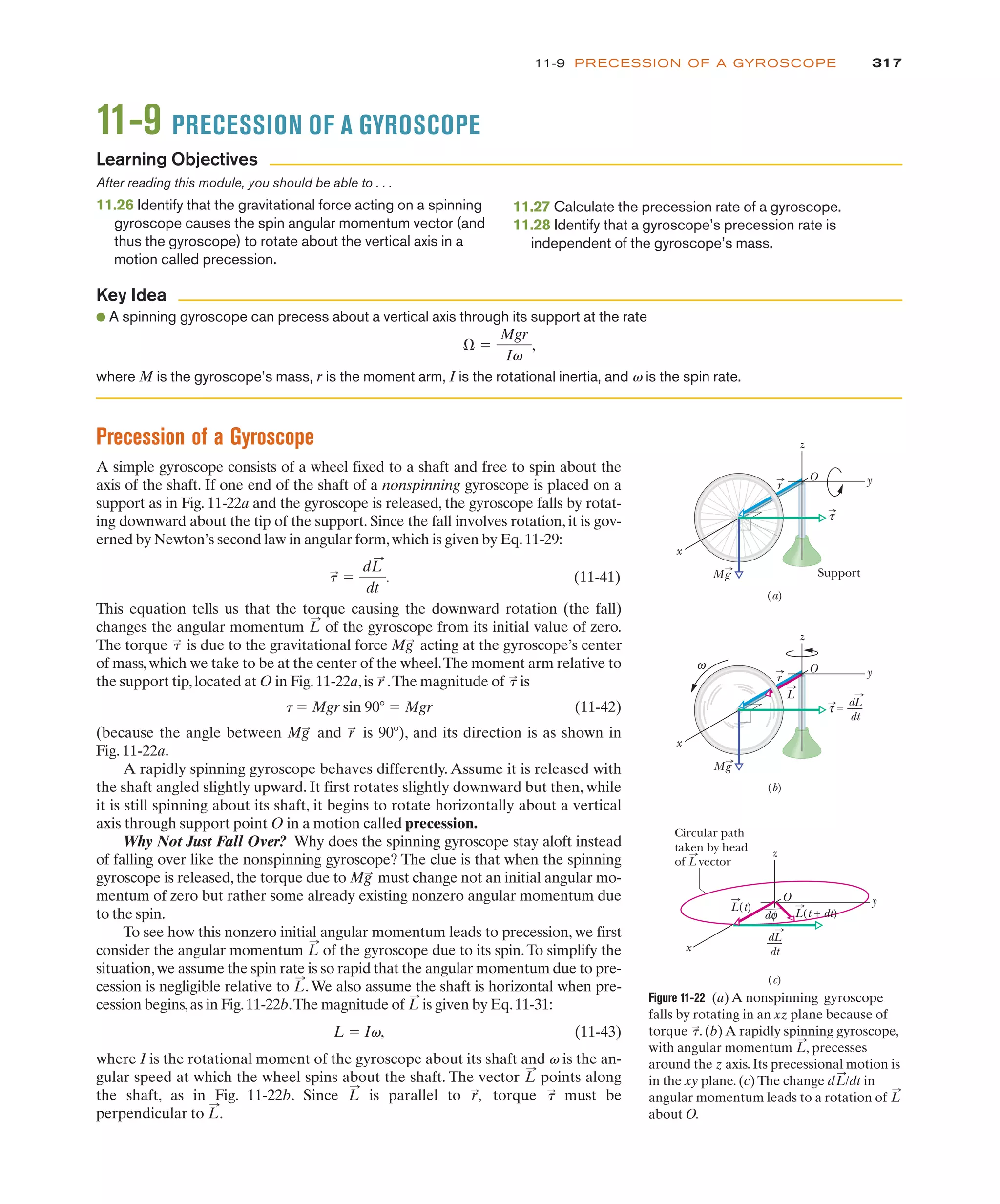 317
11-9 PRECESSION OF A GYROSCOPE
Precession of a Gyroscope
A simple gyroscope consists of a wheel fixed to a shaft and free to spin about the
axis of the shaft. If one end of the shaft of a nonspinning gyroscope is placed on a
support as in Fig. 11-22a and the gyroscope is released, the gyroscope falls by rotat-
ing downward about the tip of the support. Since the fall involves rotation, it is gov-
erned by Newton’s second law in angular form,which is given by Eq.11-29:
(11-41)
This equation tells us that the torque causing the downward rotation (the fall)
changes the angular momentum of the gyroscope from its initial value of zero.
The torque is due to the gravitational force acting at the gyroscope’s center
of mass,which we take to be at the center of the wheel.The moment arm relative to
the support tip,located at O in Fig.11-22a,is .The magnitude of is
t ! Mgr sin 90( ! Mgr (11-42)
(because the angle between and is 90(), and its direction is as shown in
Fig. 11-22a.
A rapidly spinning gyroscope behaves differently. Assume it is released with
the shaft angled slightly upward. It first rotates slightly downward but then, while
it is still spinning about its shaft, it begins to rotate horizontally about a vertical
axis through support point O in a motion called precession.
Why Not Just Fall Over? Why does the spinning gyroscope stay aloft instead
of falling over like the nonspinning gyroscope? The clue is that when the spinning
gyroscope is released, the torque due to must change not an initial angular mo-
mentum of zero but rather some already existing nonzero angular momentum due
to the spin.
To see how this nonzero initial angular momentum leads to precession, we first
consider the angular momentum of the gyroscope due to its spin.To simplify the
situation,we assume the spin rate is so rapid that the angular momentum due to pre-
cession is negligible relative to .We also assume the shaft is horizontal when pre-
cession begins,as in Fig.11-22b.The magnitude of is given by Eq.11-31:
L ! Iv, (11-43)
where I is the rotational moment of the gyroscope about its shaft and v is the an-
gular speed at which the wheel spins about the shaft. The vector points along
the shaft, as in Fig. 11-22b. Since is parallel to torque must be
perpendicular to .
L
:
t
:
r
:
,
L
:
L
:
L
:
L
:
L
:
Mg
:
r
:
Mg
:
t
:
r
:
Mg
:
&
:
L
:
t
:
!
dL
:
dt
.
Figure 11-22 (a) A nonspinning gyroscope
falls by rotating in an xz plane because of
torque . (b) A rapidly spinning gyroscope,
with angular momentum precesses
around the z axis. Its precessional motion is
in the xy plane. (c) The change in
angular momentum leads to a rotation of
about O.
L
:
dL
:
/dt
L
:
,
t
:
x
y
z
τ
O
x
y
z
O
L
ω
=
dL
___
dt
(a)
(b)
x
y
z
O
L(t)
dL
___
dt
dφ L(t + dt)
Circular path
taken by head
of L vector
(c)
τ
r
r
Mg
Mg
Support
11-9 PRECESSION OF A GYROSCOPE
After reading this module, you should be able to . . .
11.26 Identify that the gravitational force acting on a spinning
gyroscope causes the spin angular momentum vector (and
thus the gyroscope) to rotate about the vertical axis in a
motion called precession.
11.27 Calculate the precession rate of a gyroscope.
11.28 Identify that a gyroscope’s precession rate is
independent of the gyroscope’s mass.
● A spinning gyroscope can precess about a vertical axis through its support at the rate
where M is the gyroscope’s mass, r is the moment arm, I is the rotational inertia, and v is the spin rate.
* !
Mgr
Iv
,
Learning Objectives
Key Idea
 