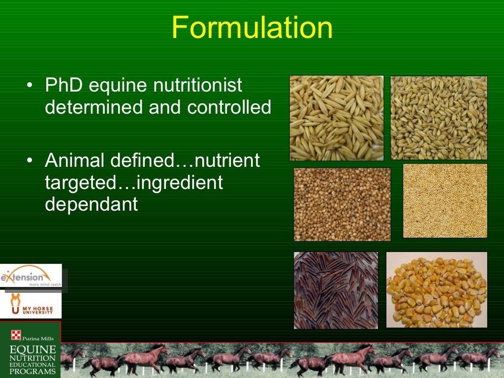 Beyond the Feed Tag Horse Feed Ingredient, Quality, Formulation and