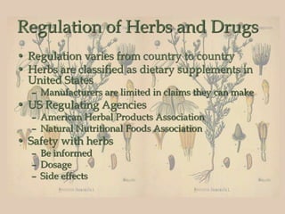 Regulation of Herbs and Drugs
• Regulation varies from country to country
• Herbs are classified as dietary supplements in
United States
– Manufacturers are limited in claims they can make
• US Regulating Agencies
– American Herbal Products Association
– Natural Nutritional Foods Association
• Safety with herbs
– Be informed
– Dosage
– Side effects
 