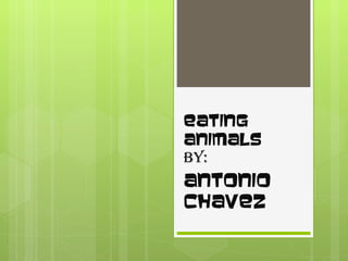 Eating Animals  by: Antonio Chavez 