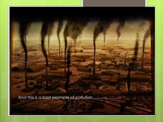 And this is a bad example of pollution…………………