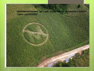 MMMMhhhhhhhhh, let’s see, could this be Monsanto’s Initial? I think so!!!!!!!!!!!!!!!!