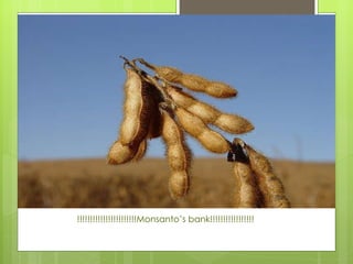 !!!!!!!!!!!!!!!!!!!!!!!Monsanto’s bank!!!!!!!!!!!!!!!!!