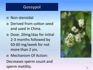  Non-steroidal
 Derived from cotton seed
and used in China.
 Dose: 20mg/day for initial
2-3 months followed by
50-60 mg/week for not
more than 2 yrs.
 Mechanism Of Action:
Decreases sperm count and
sperm motility. 61
 