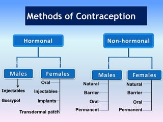 Methods of Contraception
c
Natural
Oral
cc
Injectables
Gossypol
Oral
Injectables
Implants
Transdermal patch
Barrier
Permanent
Barrier
Natural
Oral
Permanent
 