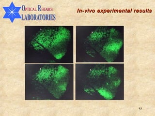 In-vivo experimental results




                       45
 