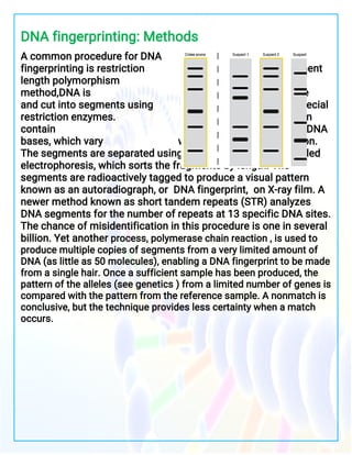 New 352180832 dna-fingerprint-investigatory-project-class-12 | PDF