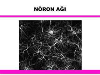 NÖRON AĞI
 