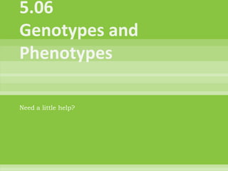 5.06Genotypes and Phenotypes Need a little help? 