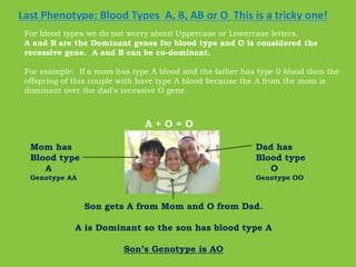 Last Phenotype: Blood Types  A, B, AB or O  This is a tricky one! For blood types we do not worry about Uppercase or Lowercase letters.  A and B are the Dominant genes for blood type and O is considered therecessive gene.  A and B can be co-dominant. For example:  If a mom has type A blood and the father has type 0 blood then the offspring of this couple with have type A blood because the A from the mom is dominant over the dad’s recessive O gene.A + O = OMom hasBlood type     AGenotype AADad hasBlood type     OGenotype OOSon gets A from Mom and O from Dad.A is Dominant so the son has blood type ASon’s Genotype is AO