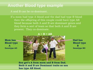 Another Blood type exampleA and B can be co-dominant.If a mom had type A blood and the dad had type B blood then the offspring of this couple could have type AB  blood because both A and B are dominant genes and they form a sort of team so that both A and B are present.  They co-dominate.A + B = ABMom hasBlood type     AGenotype AODad hasBlood type     BGenotype BOSon get’s A from mom and B from Dad.Both A and B are Dominant traits so sonhas type AB blood.