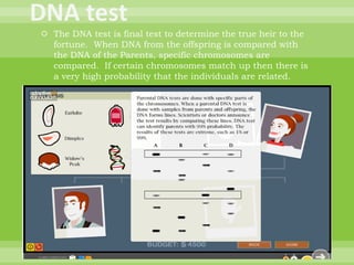 DNA testThe DNA test is final test to determine the true heir to the fortune.  When DNA from the offspring is compared with the DNA of the Parents, specific chromosomes are compared.  If certain chromosomes match up then there is a very high probability that the individuals are related.