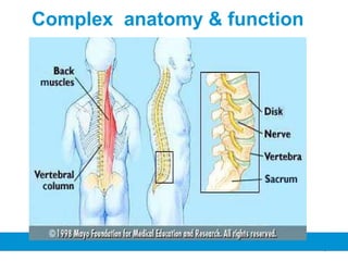3
Complex anatomy & function
 
