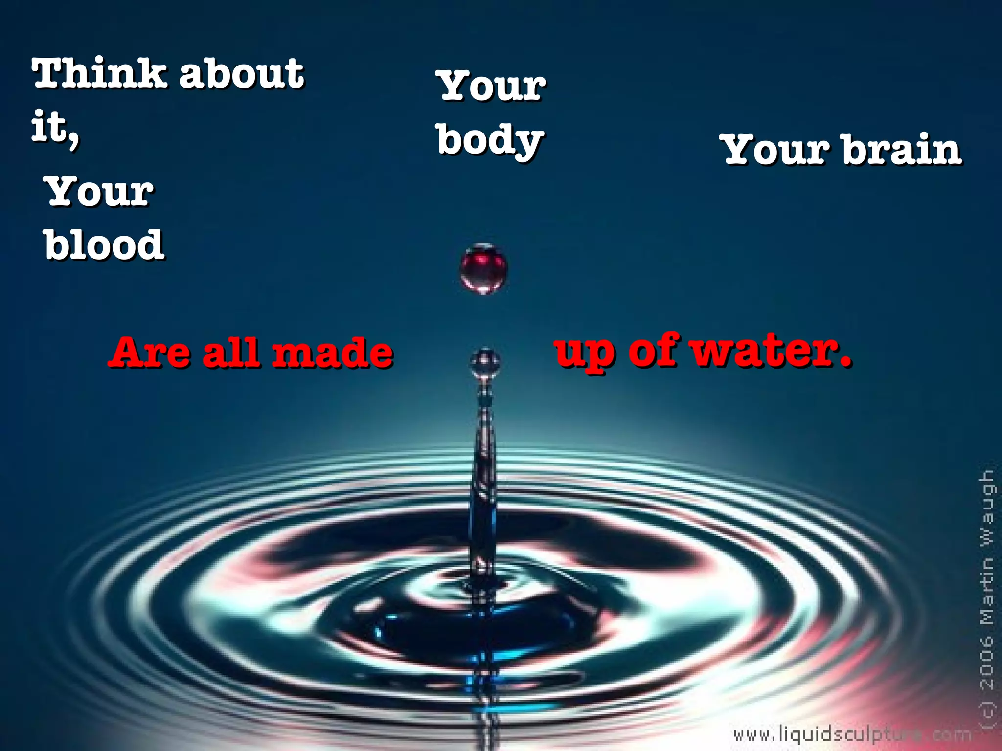 Are all made Think about it, Your body Your brain Your blood  up of water.  