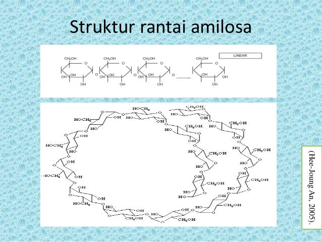 Aktifitas amilolitik dan produksi alkohol dari pati