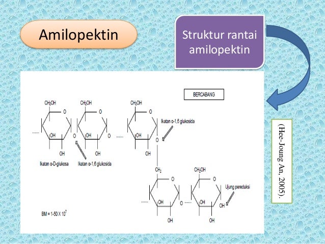 Aktifitas amilolitik dan produksi alkohol dari pati